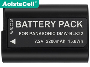 Panasonic Lumix DC-S5K-K baterija